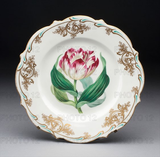 Plate, c. 1825, Spode Pottery & Porcelain Factory, English, founded 1776, Stoke on Trent, Porcelain, polychrome enamels and gilding, 2.5 x 23.5 cm (1 x 9 1/4 in.)