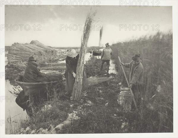 During the Reed Harvest, 1886, Peter Henry Emerson, English, born Cuba, 1856–1936, England, Platinum print, pl. XXVIII from the album "Life and Landscape on the Norfolk Broads" (1886), edition of 200, 21.8 × 28.7 cm (image/paper), 28.5 × 40.9 cm (album page)