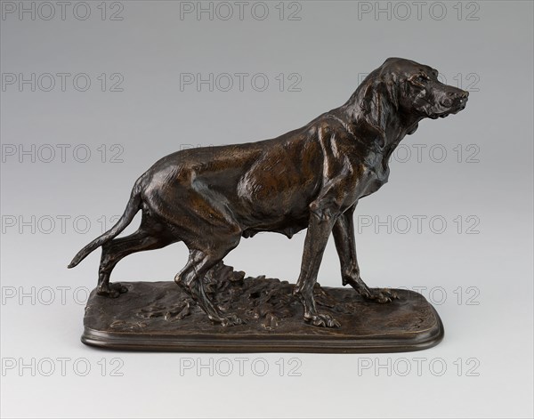 Figure of a Retriever, c. 1840/60, Pierre-Jules Mêne, French, 1810-1879, France, Bronze, dark brown patina, 22.9 × 34.3 cm (9 × 13 1/2 in.)