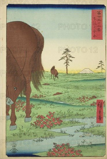 Kogane Plain in Shimosa Province (Shimosa Koganehara), from the series Thirty-six Views of Mount Fuji (Fuji sanjurokkei), 1858, Utagawa Hiroshige ?? ??, Japanese, 1797-1858, Japan, Color woodblock print, oban