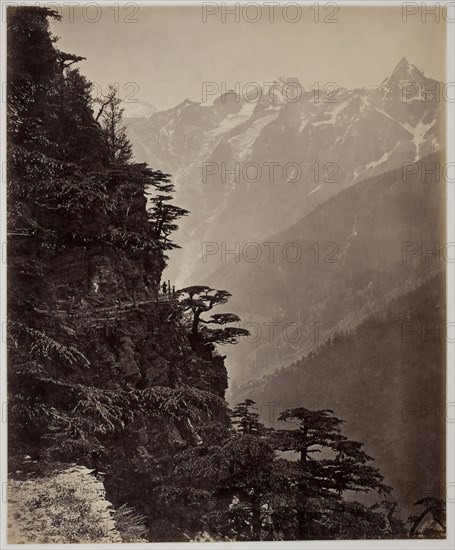Untitled, c. 1865, Samuel Bourne, English, 1834–1912, England, Albumen print, 28.7 × 23.5 cm (image/paper), 43.3 × 34.5 cm (mount)