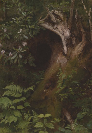 The Squirrel, 1860s/70s, Seymour Joseph Guy, American, born England, 1824–1910, United States, Oil on canvas, 51.3 × 35.6 cm (20 3/16 × 14 in.)
