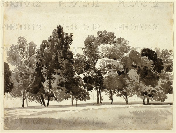Grove of Leafy Trees, c. 1818, Franz Kobell, German, 1749-1822, Germany, Brush and brown wash on ivory laid paper, 161 x 211 mm