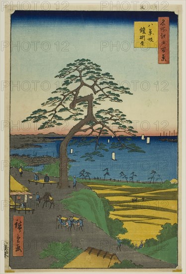 The Armor-hanging Pine at Hakkeizaka (Hakkeizaka Yoroikakematsu), from the series One Hundred Famous Views of Edo (Meisho Edo hyakkei), 1856, Utagawa Hiroshige ?? ??, Japanese, 1797–1858, Japan, Color woodblock print, oban