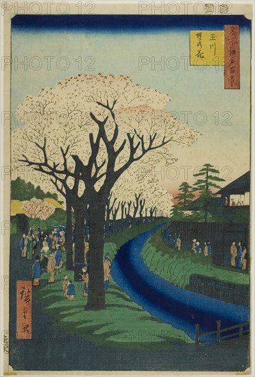 Blossoms on the Tama River Embankment (Tamagawa-zutsumi no hana), from the series One Hundred Famous Views of Edo (Meisho Edo hyakkei), 1856, Utagawa Hiroshige ?? ??, Japanese, 1797–1858, Japan, Color woodblock print, oban