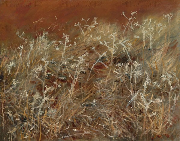 Thistles, 1883/89, John Singer Sargent, American, 1856–1925, England, Oil on canvas, 55.9 × 71.8 cm (22 × 28 1/4 in.)