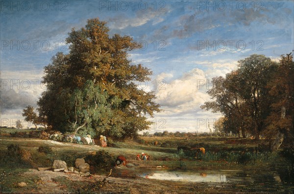 The Marsh, 1840, Constant Troyon, French, 1810-1865, France, Oil on canvas, 36 1/2 × 55 in. (93 × 140 cm)