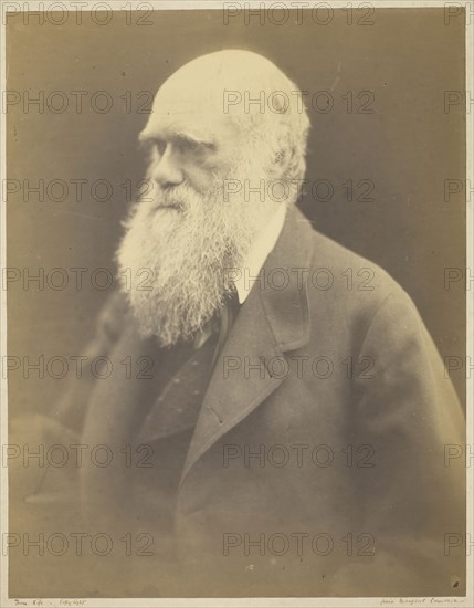 Charles Darwin, 1868, Julia Margaret Cameron, English, 1815–1879, England, Albumen print, 30.5 × 23.8 cm (image/paper), 44.1 × 35.9 cm (mount)