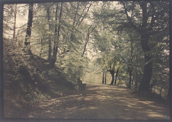 Untitled, c. 1880, Autochrome, 11.4 × 16.6 cm (image, appro×.)