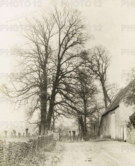 Kelmscott Manor: Road and Entrance, 1896, Frederick H. Evans, English, 1853–1943, England, Lantern slide, 8.2 × 8.2 cm, Kelmscott Manor: Front Entrance, 1896, Frederick H. Evans, English, 1853–1943, England, Lantern slide, 8.2 × 8.2 cm, Kelmscott Manor: Front Aspect, 1896, Frederick H. Evans, English, 1853–1943, England, Lantern slide, 8.2 × 8.2 cm