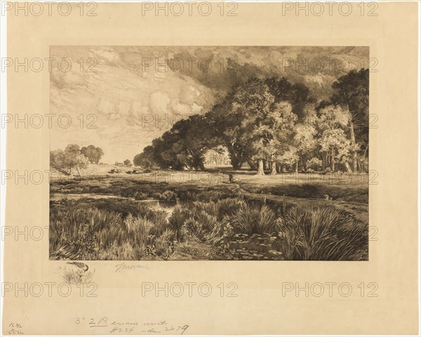 Long Island Landscape, 1889, Thomas Moran, American, born England, 1837-1926, United States, Etching, drypoint, and roulette on paper, 430 x 565 mm