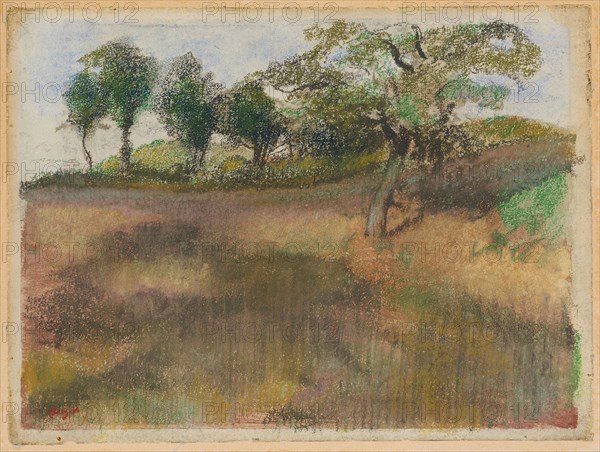Ploughed Field Bordered by Trees, c. 1892, Edgar Degas, French, 1834-1917, France, Pastel, over color monotype, on off-white wove paper, laid down on cream card, 253 × 345 mm (image), 270 × 359 mm (sheet)