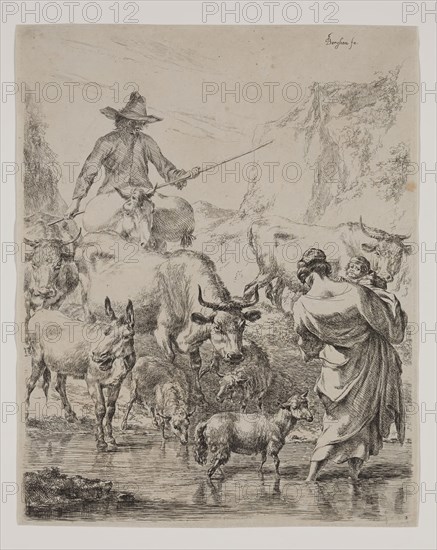 Nicolaes Berchem, Dutch, 1620-1683, Herd Crossing the Stream, between 1620 and 1683, etching and engraving printed in black ink on laid paper, Plate: 10 1/4 × 8 1/8 inches (26 × 20.6 cm)