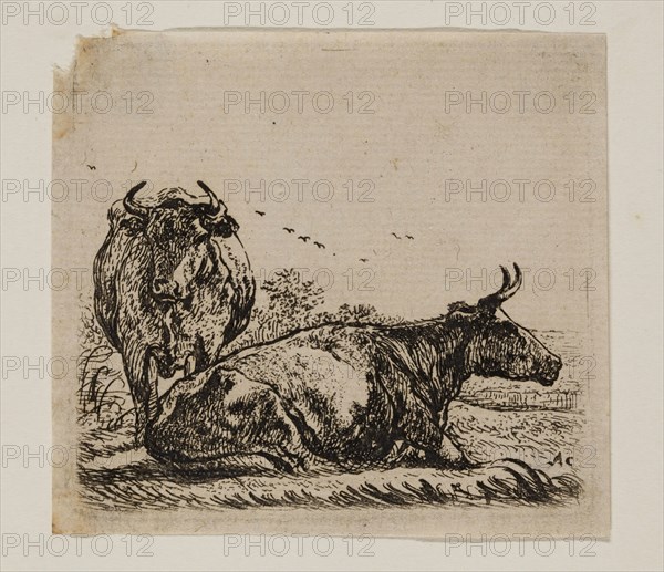 Aelbert Cuyp, Dutch, 1620-1691, Cows, between 1620 and 1691, etching printed in black ink on laid paper, Plate: 2 5/8 × 3 inches (6.7 × 7.6 cm)