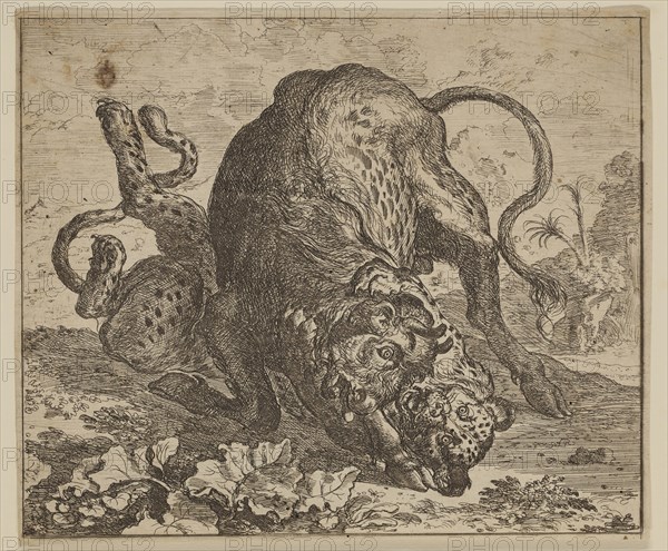 Abraham Hondius, Dutch, 1625-1695, The Urus and the Leopard, ca. 1672, etching printed in black ink on laid paper, Sheet (trimmed within plate mark): 5 5/8 × 6 5/8 inches (14.3 × 16.8 cm)