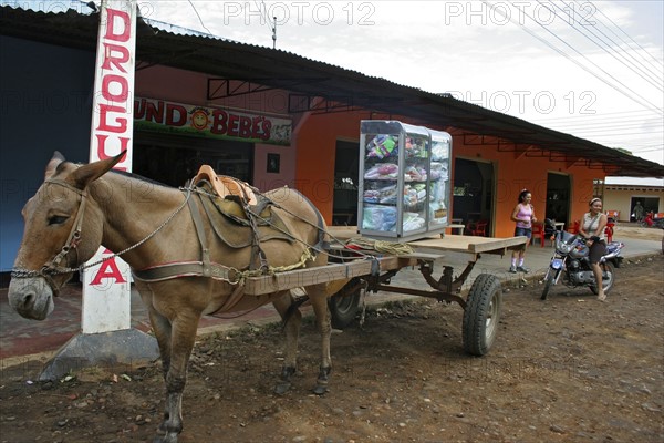 Colombia: Armed Forces In La Macarena