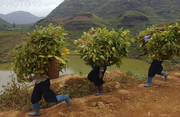 VIETNAM