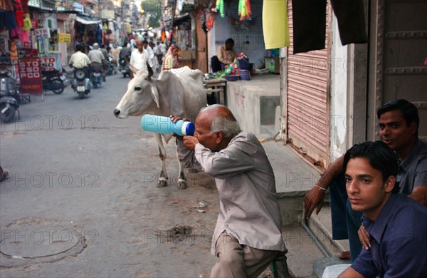 India Jaipur Society