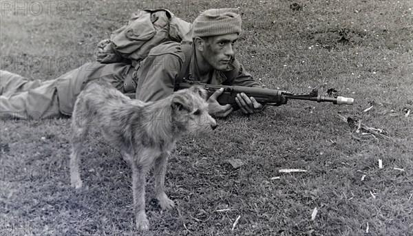 Armée française