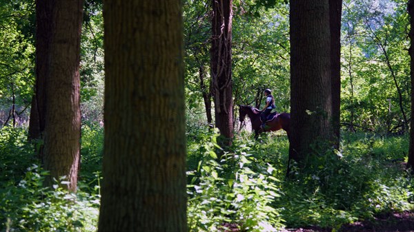 Equitation, France