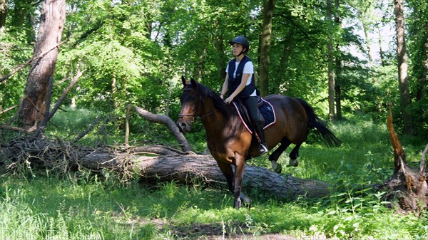 Equitation, France