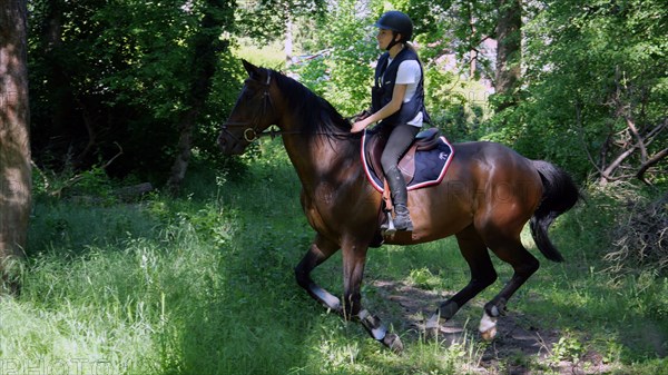 Equitation, France