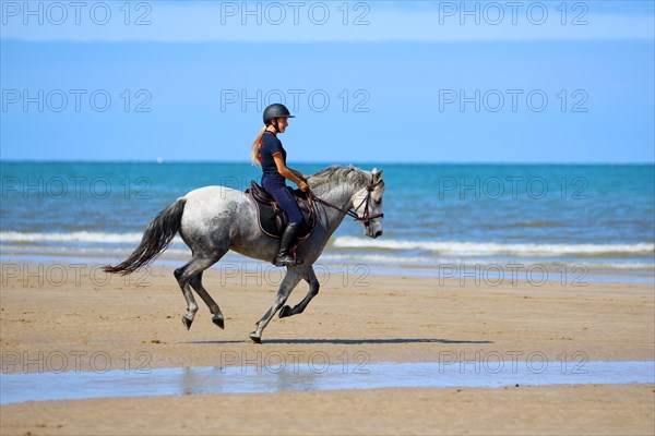 Equitation, France