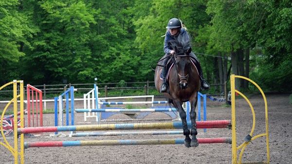 Equitation, France