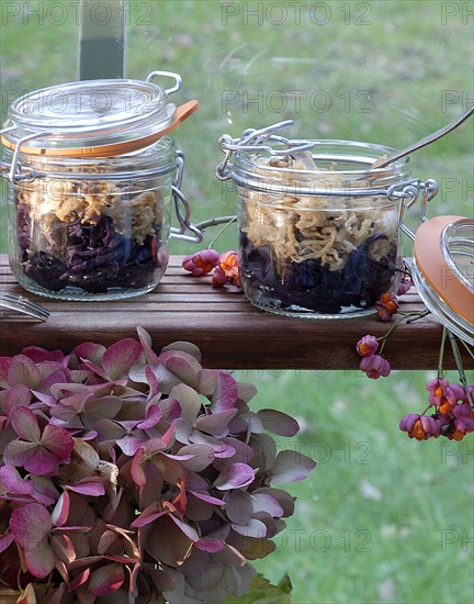 Meal on a forest theme: sweet rabbit and cabbage compote