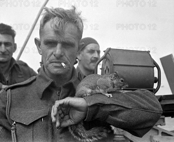 Portrait d'un soldat britannique peu après le débarquement de juin 1944