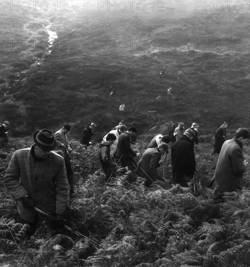 Les meurtres de la lande