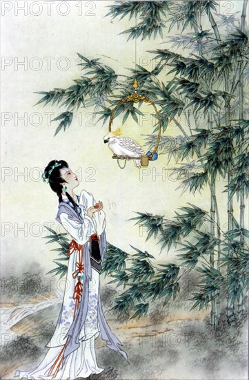 Illustration pour le célèbre roman chinois : "Rêve dans le Pavillon Rouge"