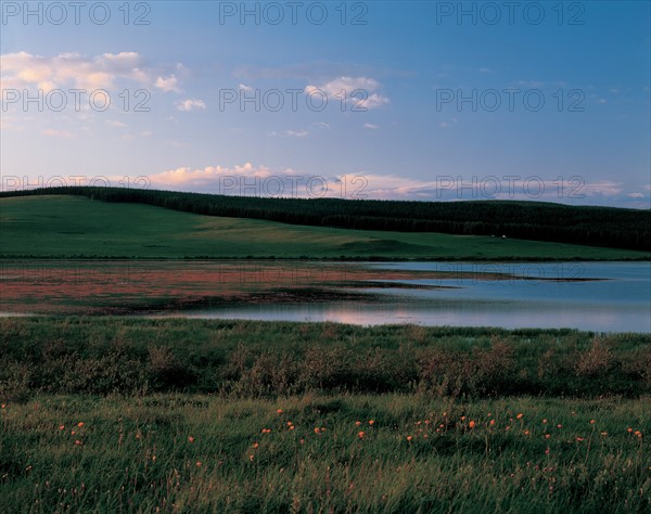 Meadow  landscape, China