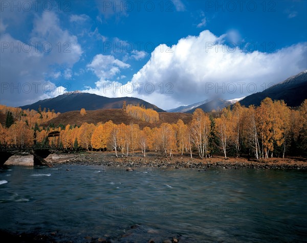 River landscape, China