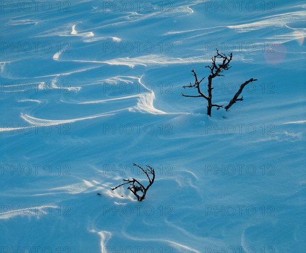 Snowy landscape, China