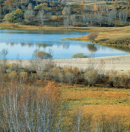 Meadow landscape, China