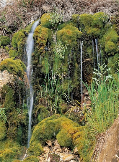 Landscape with Waterfall, China