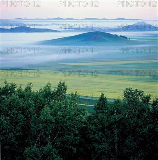 Misty hillside landscape, China