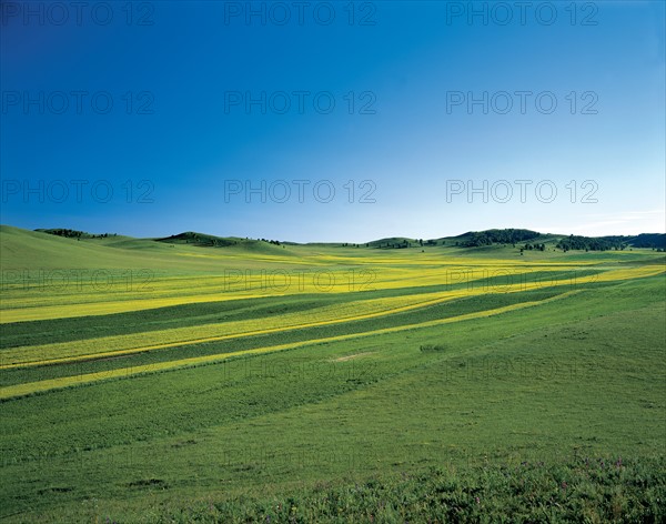 Grassland, Hebei province, China