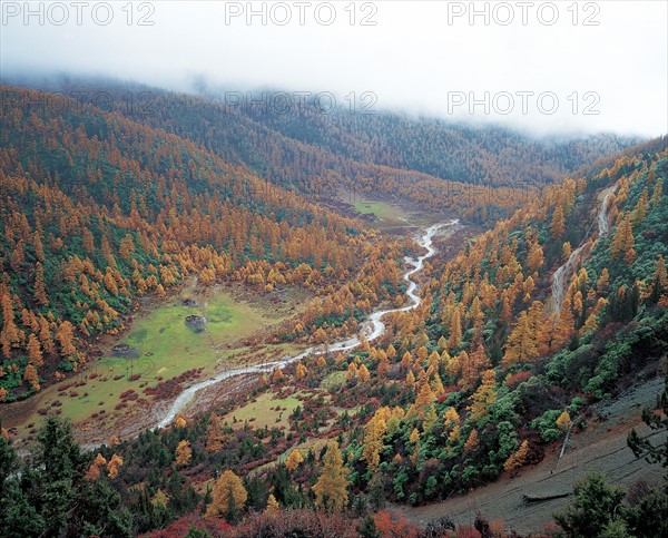 Collines, Chine