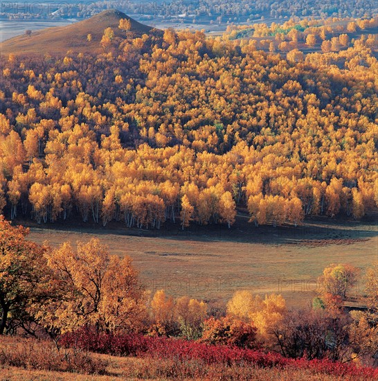 Bashang, province du Hebei, Chine