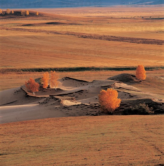 Prairie, province du Hebei, Chine