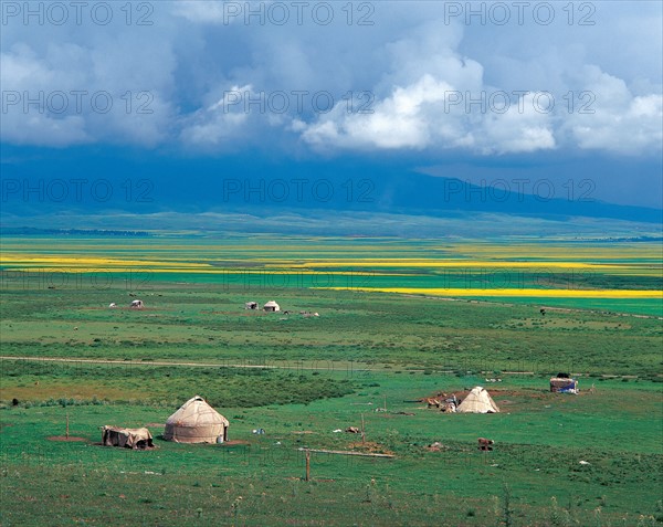 Grassland landscape, Xinjiang Province, China