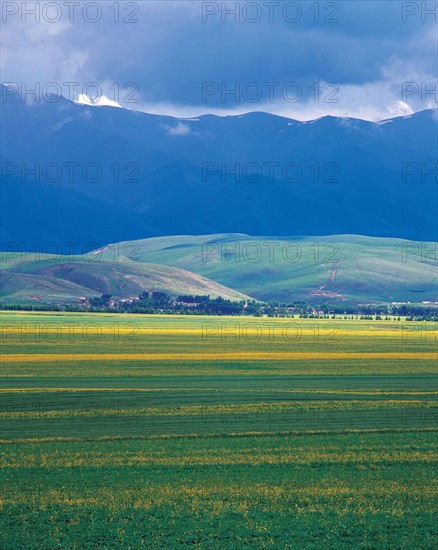 Nature, province du Xinjiang, Chine