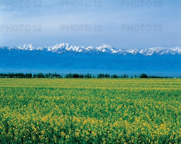 Nature, province du Xinjiang, Chine