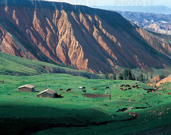 Prairie Nalati, Vallée de Bayin, province du Xinjiang, Chine