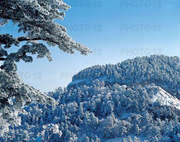 Mont Huashan, versant est, province du Shanxi, Chine