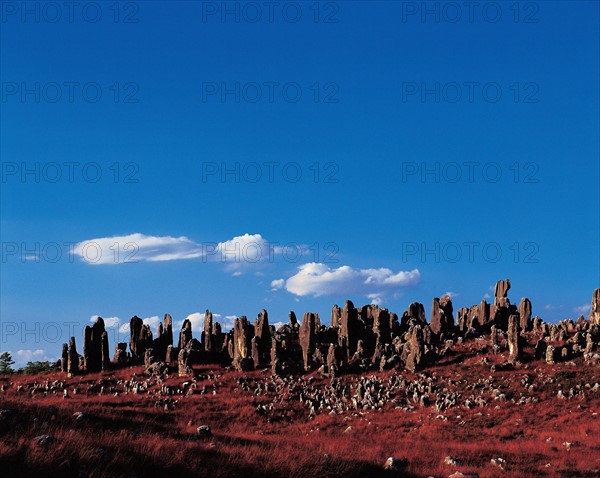 Stone forest, Yunnan Province, China