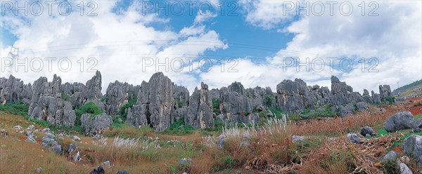 Forêt de pierre, province du Yunnan, Chine
