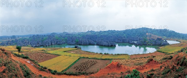 Stone Forests, Yunnan Province, Chine